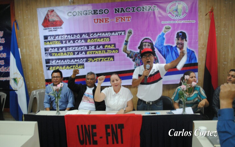 FNT2